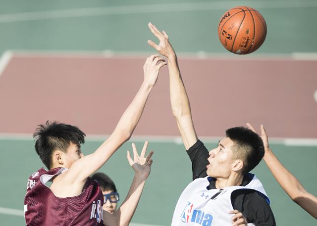 白莉巧克力的图片免费