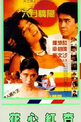 久久中文字幕网站篠田优