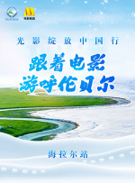 亚洲精品拍拍拍在线观看