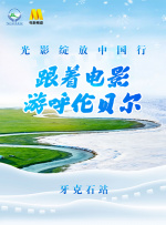 国产成人在线看