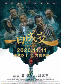 成年人免费视频观看