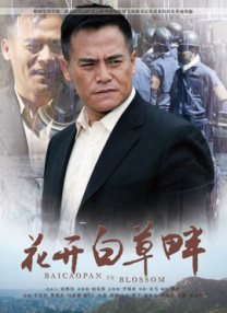成人在线视频一区