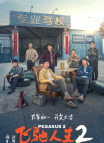 国产成人激情