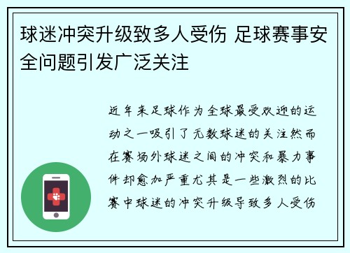 球迷冲突升级致多人受伤 足球赛事安全问题引发广泛关注
